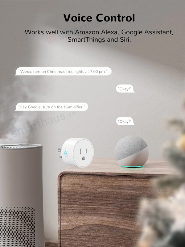 Ổ cắm thông minh wifi TuyA điều khiển bằng giọng nói Alexa, Google Home 